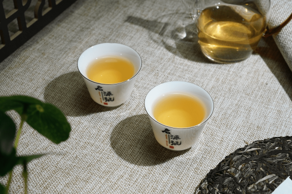 Puer Raw Tea: How to Enjoy This Aged and Richly Flavored Infusion