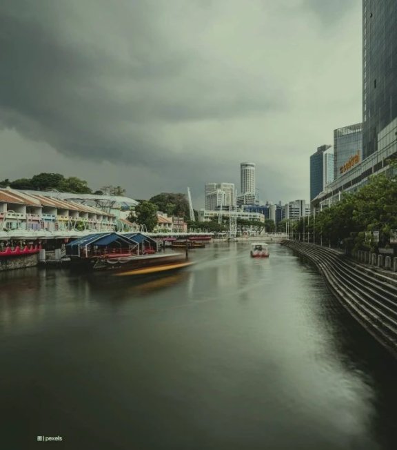 The Scent of Chinese Tea in Singapore