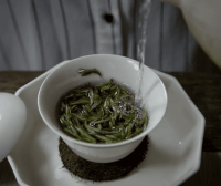 How to Brew White Tea? A Comprehensive Guide