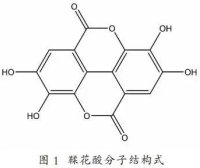 Detection Technology: Determination of Ellagic Acid Content in Pu’er Ripened Tea by High-Performance Liquid Chromatography