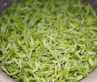 Price of 2024 Xinyang Maojian Spring Tea per Pound