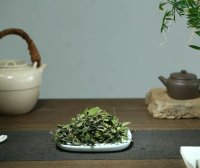 What Kind of Purple Clay Pot Should Be Used for Brewing White Tea?