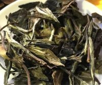 Which Teas Are Better to Drink in Summer?