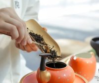 Brewing or Cooking Tea? Let These Teas Resolve Your Dilemma!