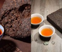 Construction and Application of the Flavor Wheel for Pu’er Tea and Fu Brick Tea