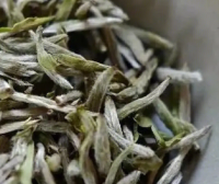 What Temperature Water is Best for Brewing White Tea?