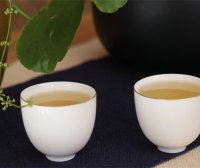 Why Drink Tea? Here’s Probably the Most Comprehensive Answer!