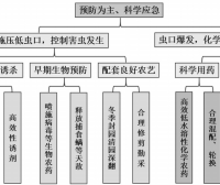 Green Precision Prevention and Control Technology Assembly and Application Effects for Tea Pest Management