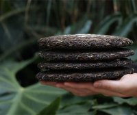 How to Brew and Properly Store Pu’er Tea Cakes