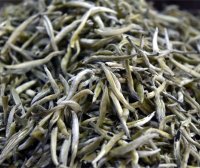 China’s Tea and Its Culture Part Five: “Chinese White Tea: History, Techniques, Market, and Future Prospects”