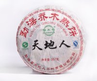 Pu’er Tea Storage Lifespan