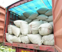 Sinan, Guizhou: First Shipment of 800-Ton Eco-Friendly Tea Order Marks Another Milestone on the Path to Green Development