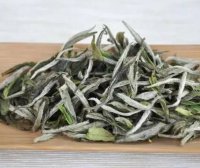 What is the “Transformation” of White Tea?