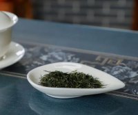 Tea Trivia (Part 2): How to Select Green Tea