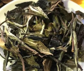 Which Teas Are Better to Drink in Summer?