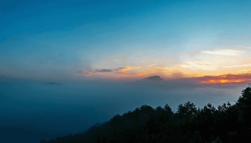 A Taste of Wuyi’s Scenery in a Cup of Clear Tea