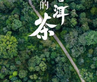 Why Jingmai Mountain?—The Journey to World Heritage Status for the Ancient Tea Forest Cultural Landscape of Pu’er Jingmai Mountain