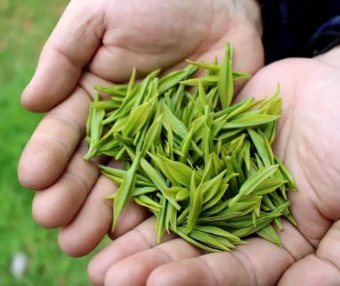 How to Select Longjing Tea?