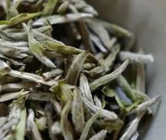 What Temperature Water is Best for Brewing White Tea?