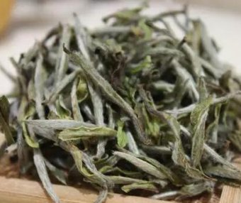 17 Professional Terms for the Aroma of White Tea—Master These and You’ll Be an Expert