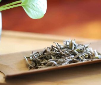 The Correct Way to Savor White Tea: Master These Tips and You’ll Be an Aroma Expert!