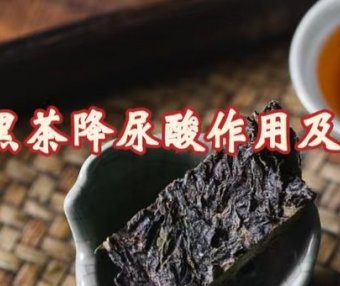 Academy Member Liu Zhonghua’s Team on the Uric Acid Lowering Effect and Mechanism of Anhua Dark Tea