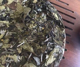 How to Store White Tea Best