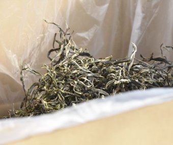 Puer Loose Tea Suitable for Long-Term Storage?