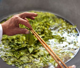 The Sour Tea of Jingmai Mountain: How Elaborate is its Preparation?