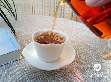 Dry Goods! As the Rainy Season Rages, How Should Pu’er Tea Be Stored in Different Regions?