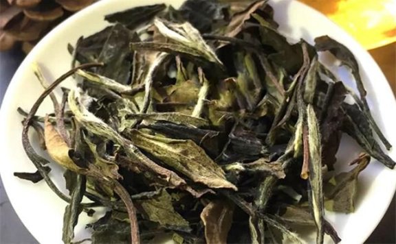 Differences Between Loose and Compressed White Tea