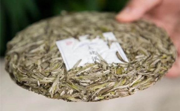 Does White Tea Cool the Body or Cause Heatiness?