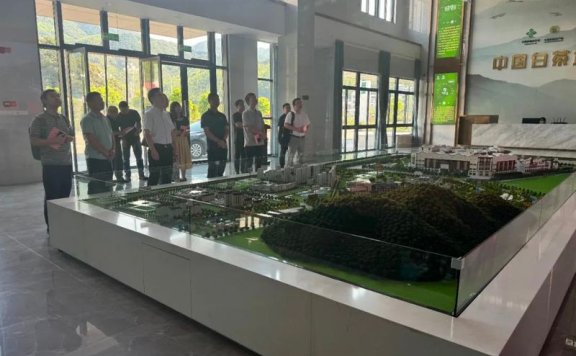 Survey Team from the Provincial Development and Reform Commission Visits the Big Data Service Platform for the Tea Industry at China White Tea City