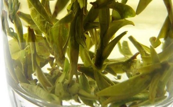 Suizhou Bud Tea