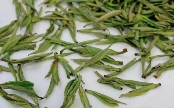 Preserving Tea in Summer to Prevent Deterioration