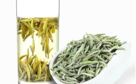 Silver Needle White Tea – A Tea for All Seasons Health Preservation