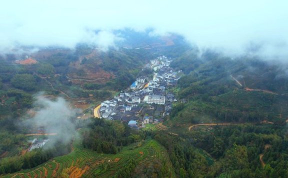 A Tea Village Known as “Little Wuyi,” Birthplace of the World-Renowned Tanyang Gongfu Black Tea! Ancient Mansions Abound