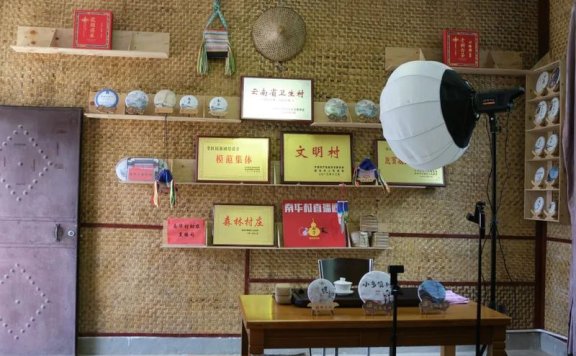 Live Streaming + Training, Nanhua Village’s Tea Industry Embraces New Vitality