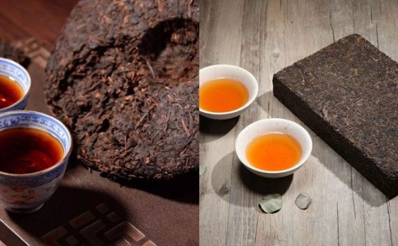 Construction and Application of the Flavor Wheel for Pu’er Tea and Fu Brick Tea