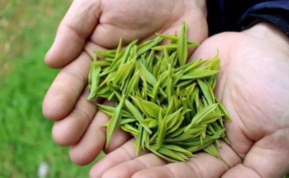 How to Select Longjing Tea?