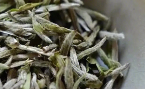 What Temperature Water is Best for Brewing White Tea?