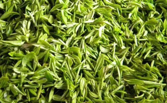 The Tea Processing of Xinyang Maojian