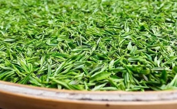 Exploring Maojian Tea: A Renowned Chinese Green Tea – Varieties and Brewing Techniques