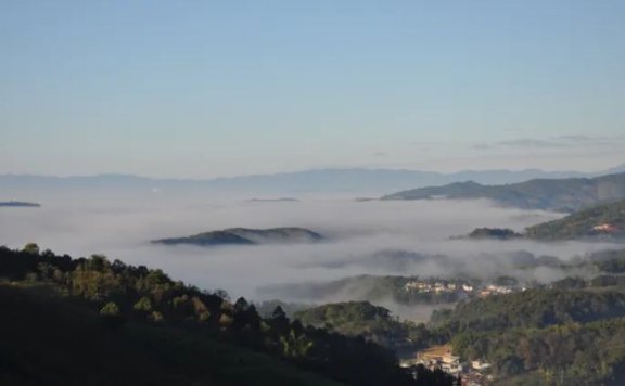 Tea Fragrance in Xishuangbanna: The Famous Pu’er Mountain – Mangsong Tea Mountain in Menghai