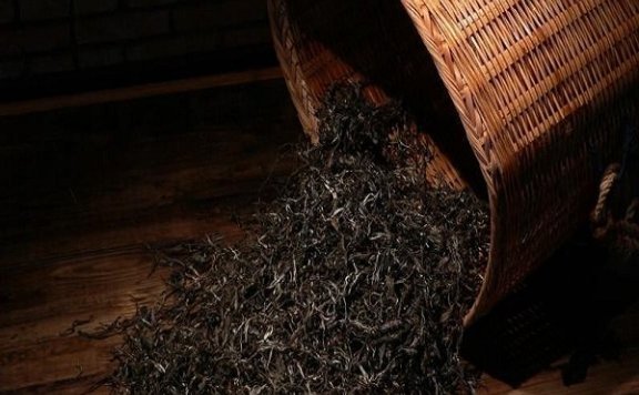 Puer Tea from Yunnan