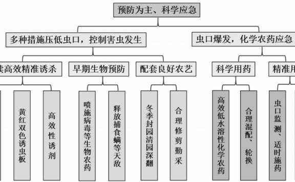 Green Precision Prevention and Control Technology Assembly and Application Effects for Tea Pest Management