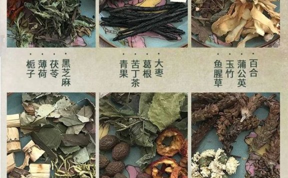 The Craft of Making the 24-Ingredient Herbal (Cool) Tea