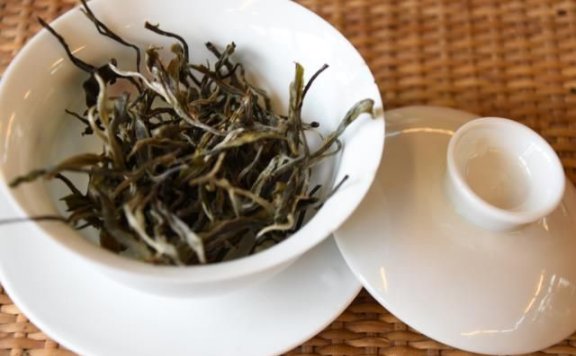 Selecting Pu’er Spring Tea During the Spring Tea Season