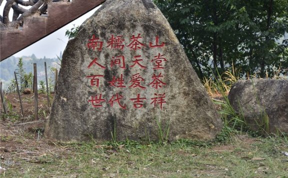 Nannuoshan, the Famous Pu’er Tea Mountain in Xishuangbanna