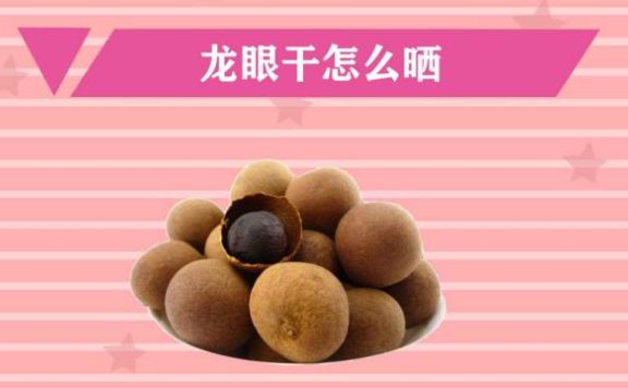 Longan Tea Pairing Guide: A Perfect Blend of Deliciousness and Health